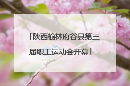 陕西榆林府谷县第三届职工运动会开幕