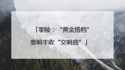 零陵：“黄金搭档”奏响丰收“交响曲”