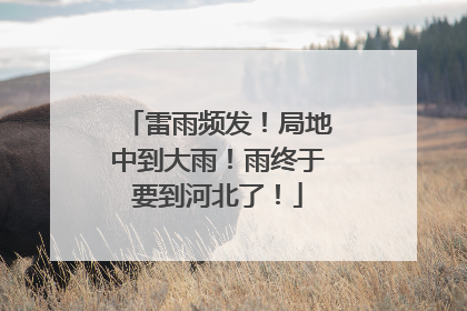 雷雨频发！局地中到大雨！雨终于要到河北了！