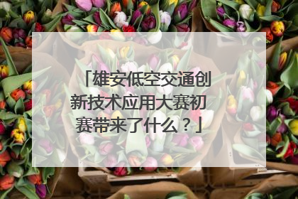雄安低空交通创新技术应用大赛初赛带来了什么？