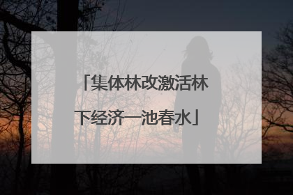 集体林改激活林下经济一池春水