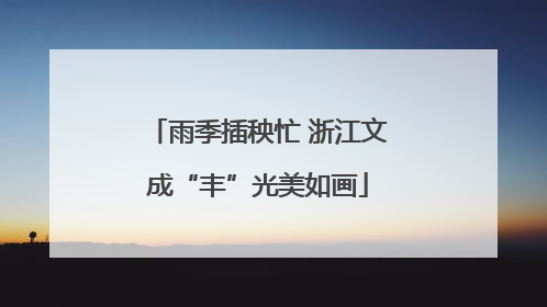 雨季插秧忙 浙江文成“丰”光美如画