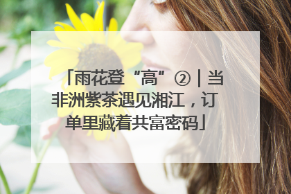 雨花登“高”②｜当非洲紫茶遇见湘江，订单里藏着共富密码