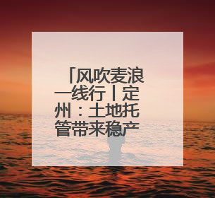 风吹麦浪一线行丨定州：土地托管带来稳产增收