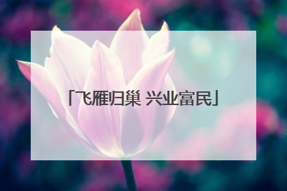 飞雁归巢 兴业富民