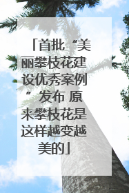 首批“美丽攀枝花建设优秀案例”发布 原来攀枝花是这样越变越美的