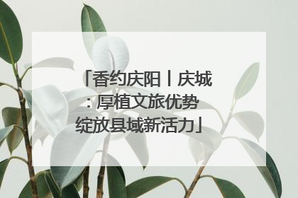 香约庆阳丨庆城：厚植文旅优势 绽放县域新活力