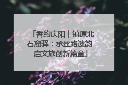 香约庆阳｜镇原北石窟驿：承丝路遗韵 启文旅创新篇章