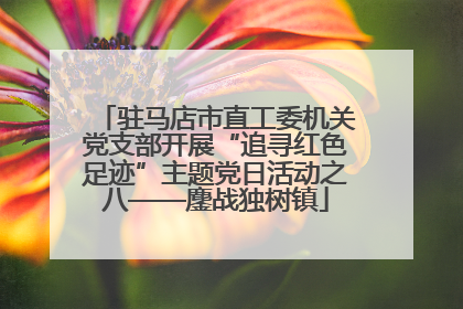 驻马店市直工委机关党支部开展“追寻红色足迹”主题党日活动之八——鏖战独树镇