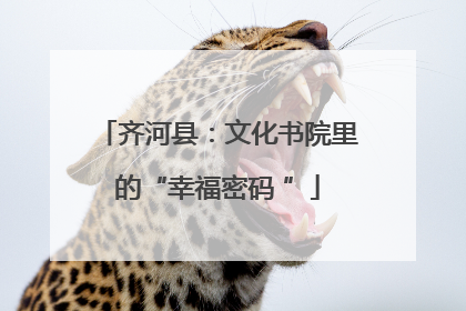 齐河县：文化书院里的“幸福密码 ”
