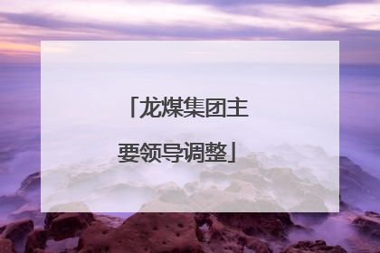 龙煤集团主要领导调整