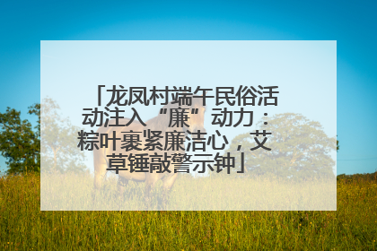 龙凤村端午民俗活动注入“廉”动力：粽叶裹紧廉洁心，艾草锤敲警示钟