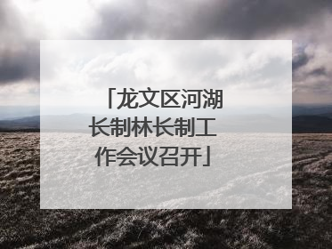 龙文区河湖长制林长制工作会议召开