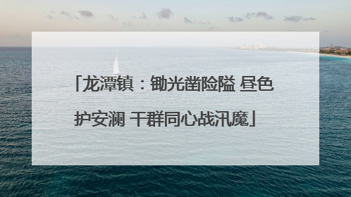 龙潭镇：锄光凿险隘 昼色护安澜 干群同心战汛魔