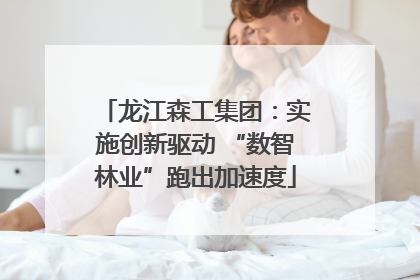 龙江森工集团：实施创新驱动 “数智林业”跑出加速度