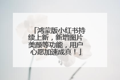 鸿蒙版小红书持续上新，新增图片美颜等功能，用户心愿加速成真！