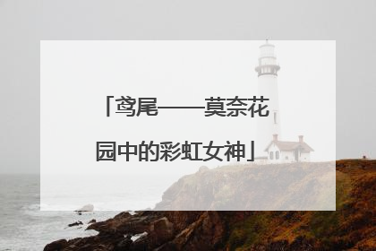 鸢尾——莫奈花园中的彩虹女神