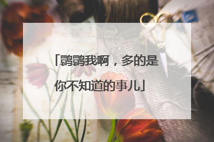 鹮鹮我啊，多的是你不知道的事儿