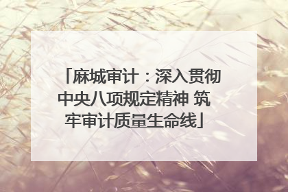 麻城审计：深入贯彻中央八项规定精神 筑牢审计质量生命线
