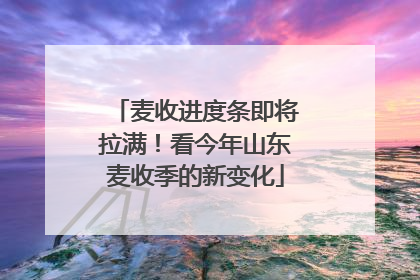 麦收进度条即将拉满！看今年山东麦收季的新变化