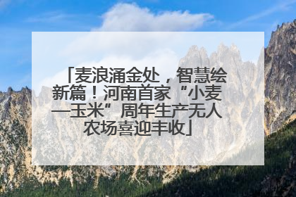 麦浪涌金处，智慧绘新篇！河南首家“小麦—玉米”周年生产无人农场喜迎丰收