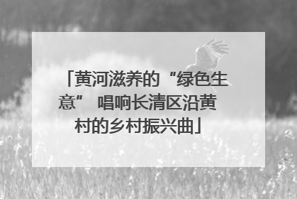 黄河滋养的“绿色生意” 唱响长清区沿黄村的乡村振兴曲