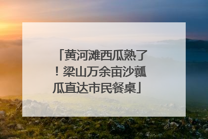 黄河滩西瓜熟了！梁山万余亩沙瓤瓜直达市民餐桌