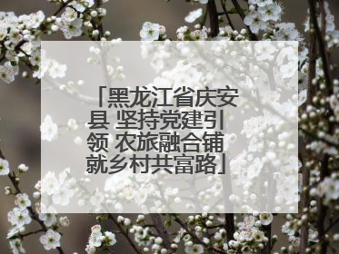 黑龙江省庆安县 坚持党建引领 农旅融合铺就乡村共富路