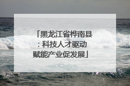 黑龙江省桦南县：科技人才驱动 赋能产业促发展