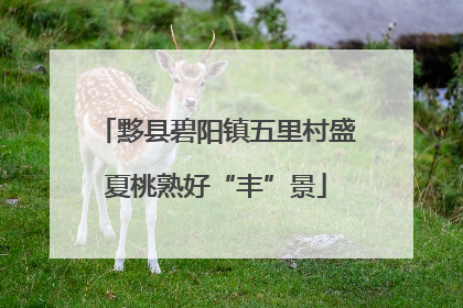 黟县碧阳镇五里村盛夏桃熟好“丰”景