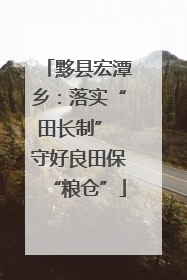 黟县宏潭乡：落实“田长制” 守好良田保“粮仓”