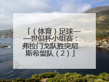 （体育）足球——世俱杯小组赛：弗拉门戈队胜突尼斯希望队（2）