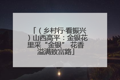（乡村行·看振兴）山西高平：金银花里采“金银” 花香溢满致富路