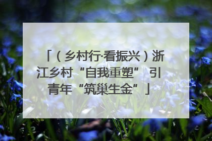 （乡村行·看振兴）浙江乡村“自我重塑” 引青年“筑巢生金”