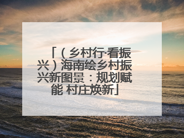 （乡村行·看振兴）海南绘乡村振兴新图景：规划赋能 村庄焕新