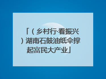 （乡村行·看振兴）湖南石鼓油纸伞撑起富民大产业