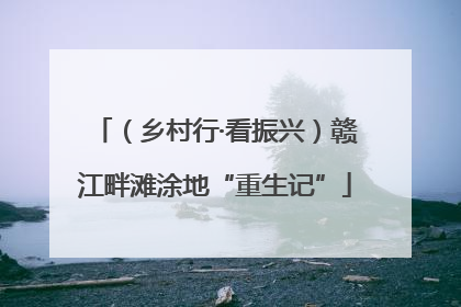 （乡村行·看振兴）赣江畔滩涂地“重生记”