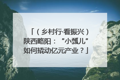 （乡村行·看振兴）陕西略阳：“小瓢儿”如何撬动亿元产业？