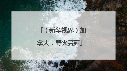 （新华视界）加拿大：野火蔓延