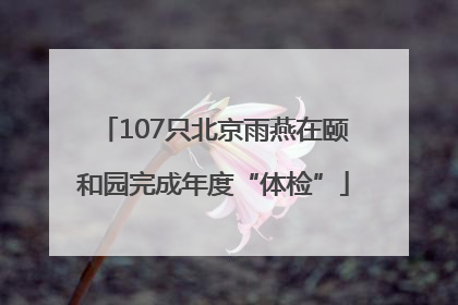 107只北京雨燕在颐和园完成年度“体检”