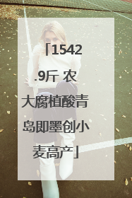 1542.9斤 农大腐植酸青岛即墨创小麦高产