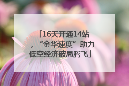 16天开通14站，“金华速度”助力低空经济破局腾飞