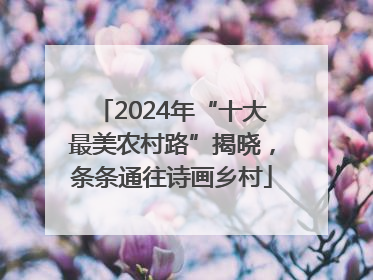 2024年“十大最美农村路”揭晓，条条通往诗画乡村
