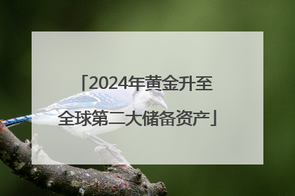 2024年黄金升至全球第二大储备资产