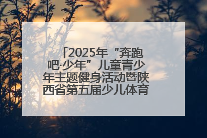 2025年“奔跑吧·少年”儿童青少年主题健身活动暨陕西省第五届少儿体育嘉年华活动启动