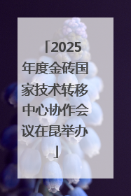 2025年度金砖国家技术转移中心协作会议在昆举办
