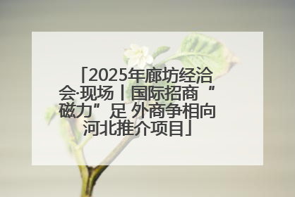 2025年廊坊经洽会·现场丨国际招商“磁力”足 外商争相向河北推介项目