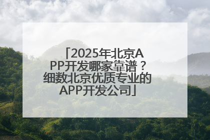2025年北京APP开发哪家靠谱？细数北京优质专业的APP开发公司