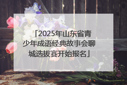 2025年山东省青少年成语经典故事会聊城选拔赛开始报名