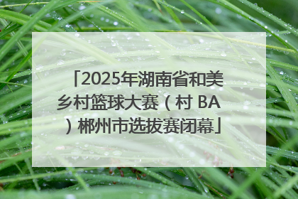 2025年湖南省和美乡村篮球大赛（村 BA）郴州市选拔赛闭幕
